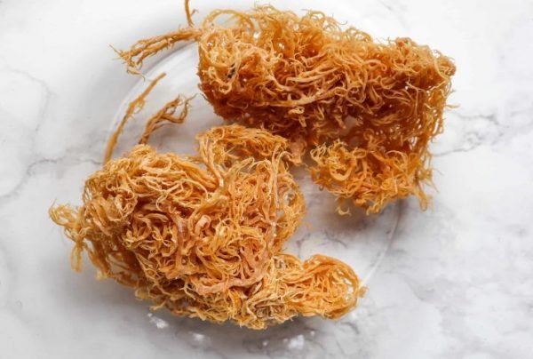 SEA MOSS PACK