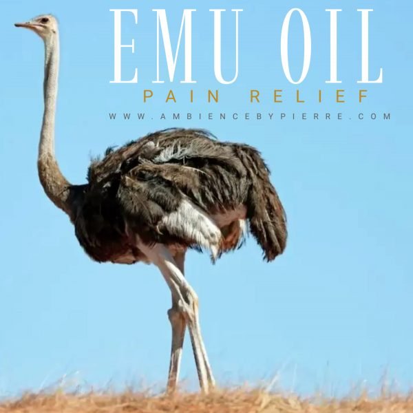 EMU OIL INFUSED WITH LAVENDER 1oz